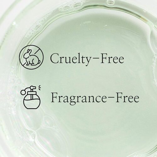 Beauty of Joseon Green Plum Refreshing Toner : AHA + BHA 150ml — product view 5