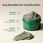AXIS-Y Mugwort Pore Clarifying Wash Off Pack 100ml — product image 4