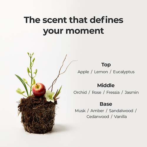 moev Annurcatin Hair Perfume 30ml — gallery view 5